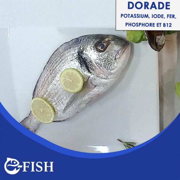 DORADE