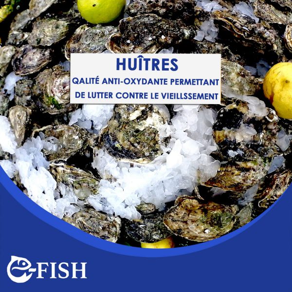 HUÎTRES