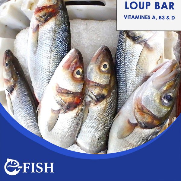 LOUP BAR
