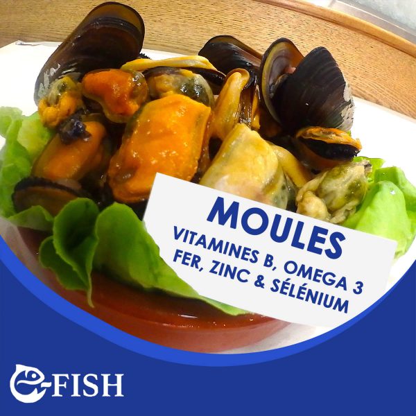 MOULES
