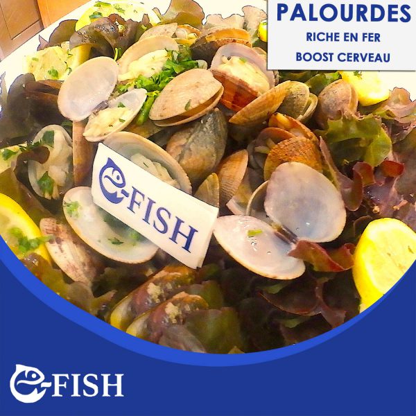 PALOURDES