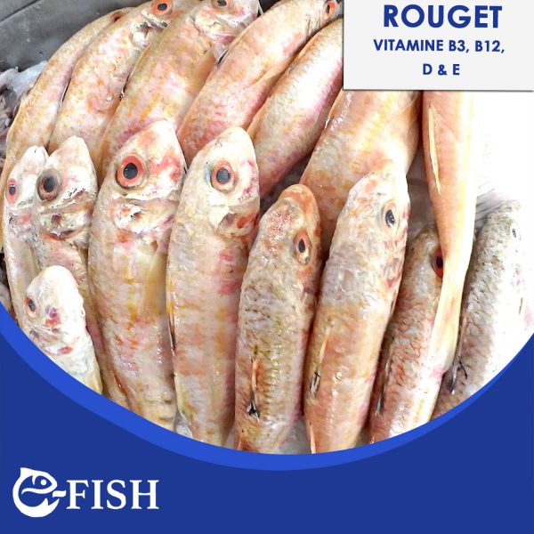 ROUGET