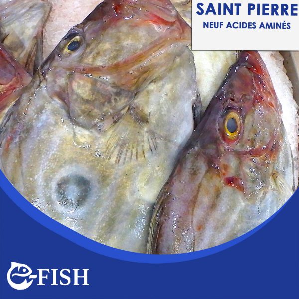 SAINT PIERRE