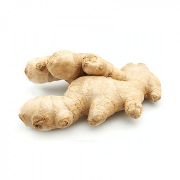 Gingembre Frais